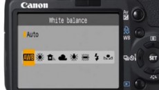 Баланс белого с DSLR-камерой Canon - не так все просто, как с видеокамерой
