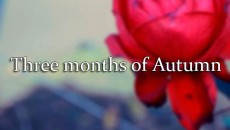 Three months of Autumn 