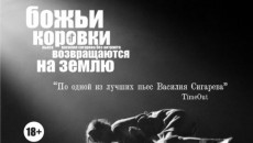 Киноверсия спектакля по пьесе В.Сигарева &quot;Божьи коровки возвращаются на землю&quot;