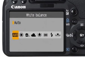 Баланс белого с DSLR-камерой Canon - не так все просто, как с видеокамерой