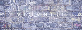 Украинский проект Vidverti Украинский проект Vidverti